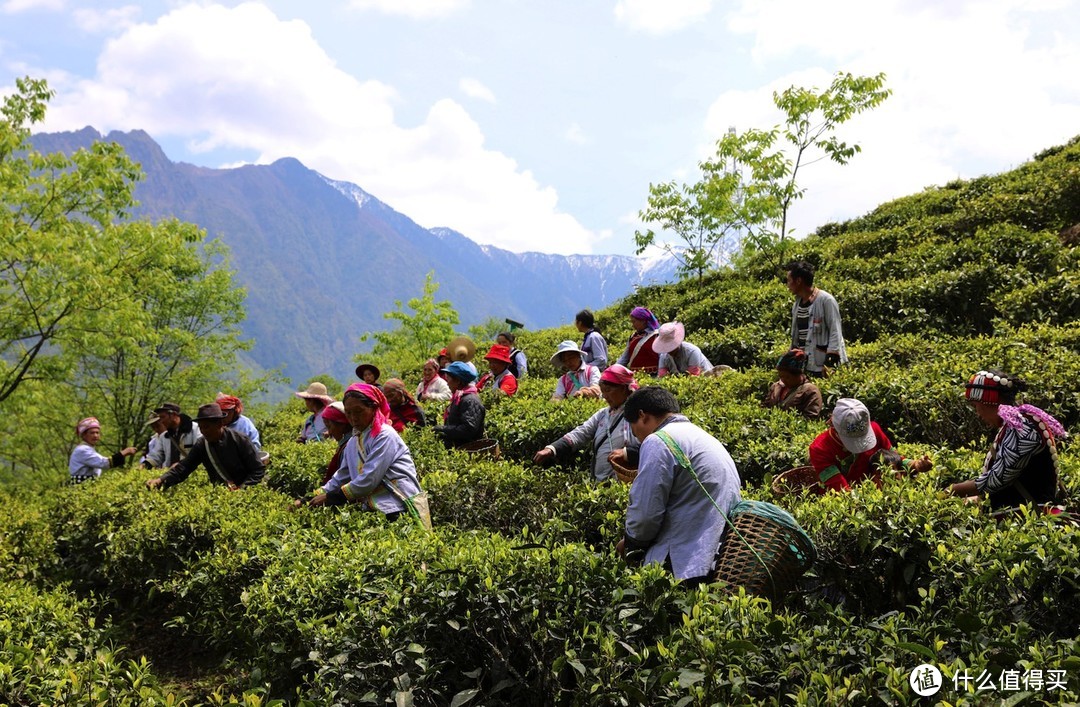 亞朵集團ESG報告聚焦綠色運營,創新探索酒店行業可持續發展